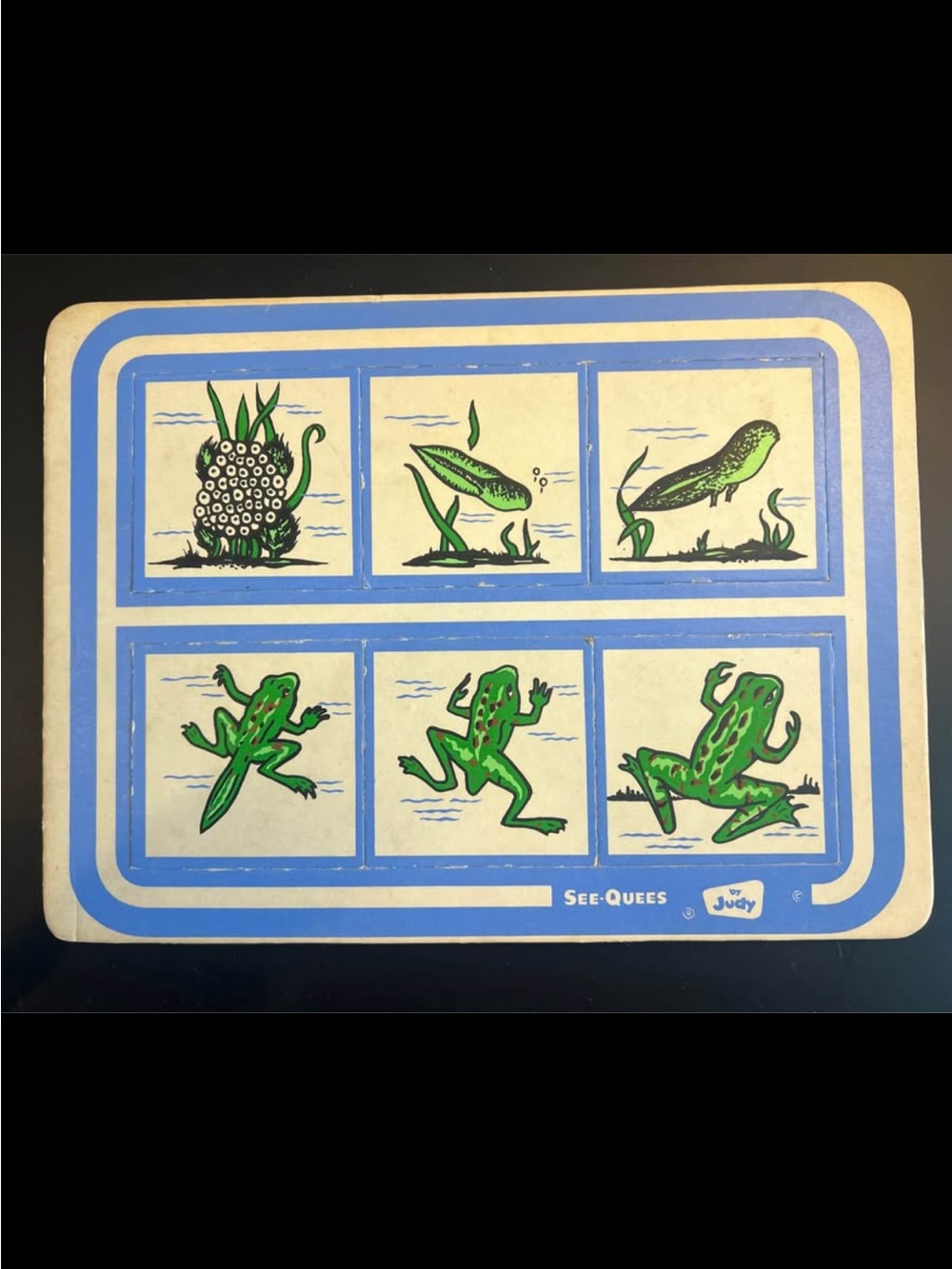 Vintage See-Quees frog Activity puzzle - Blue & Green